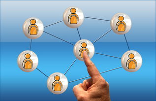 开云全站-高校电竞联赛冠军诞生 战术与团队缺一不可，高校电竞联盟挑战赛全国总决赛